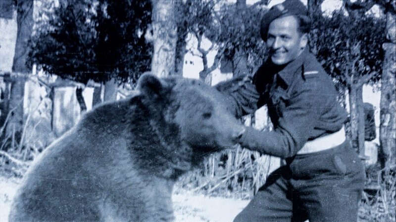 Dymitr Szawlugo, ein polnischer Soldat, der bei der Pflege des Bären half, in Italien nach der Schlacht von Monte Cassino – Bild: uklib /​ THE HISTORY CHANNEL