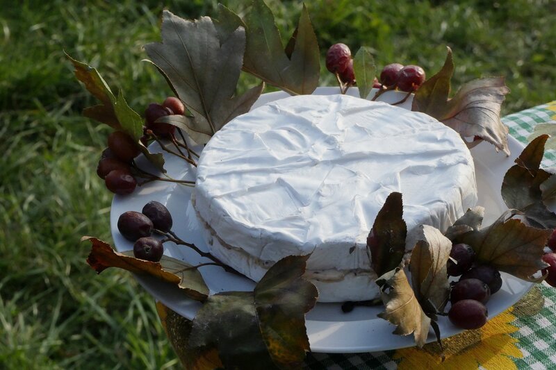 Zu Tisch Wienerwald – Österreich Camelsbert: Ein mit Elsbeercreme gefüllter Camembert – Bild: SRF/​Berlin Producers/​Dieter Stürmer