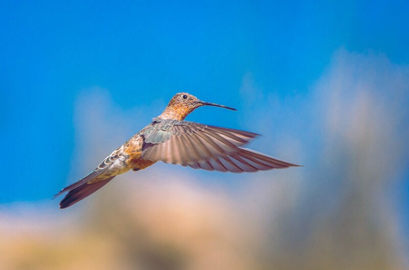 Oasen: Inseln des Lebens – Bild: K22film/​Pedro Allasi