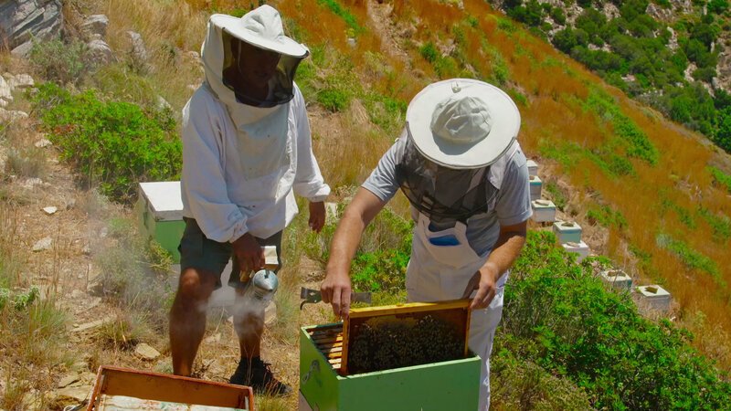 Bild: INSIGHT HD Bild: INSIGHT HD