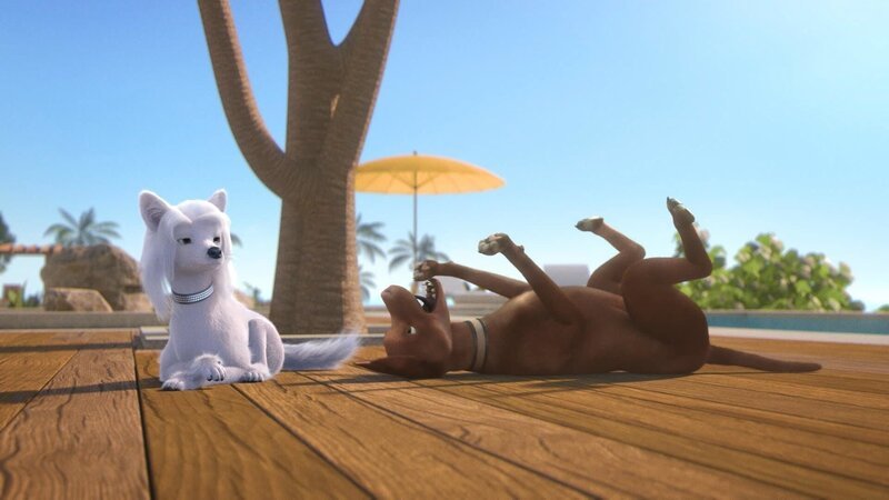 Bild: PLURIMEDIA (TeamTo)