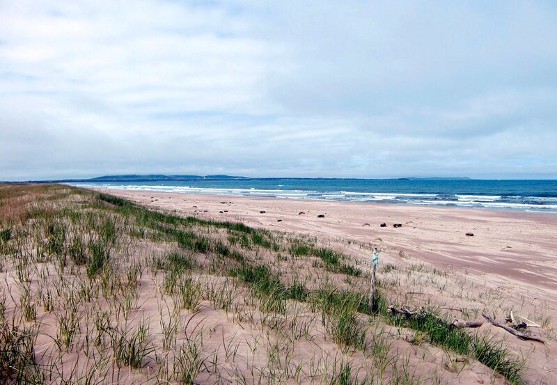 Dünenlandschaft und 300 km Sandstrände: Kanadas Magdaleneninseln. – Bild: NDR/​Ulrich Patzwahl