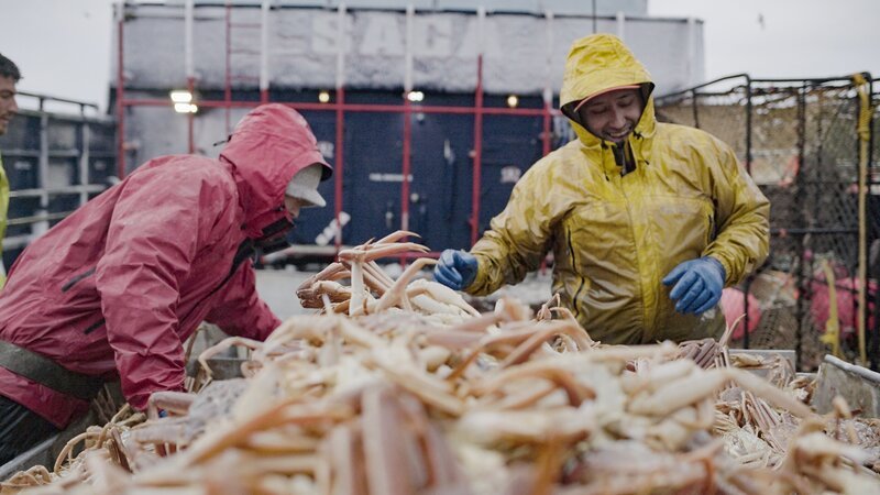 Saga Deck Boss, Joe Gomez, counts a good opie catch at the table. – Bild: Discovery Channel /​ Discovery Communications, LLC