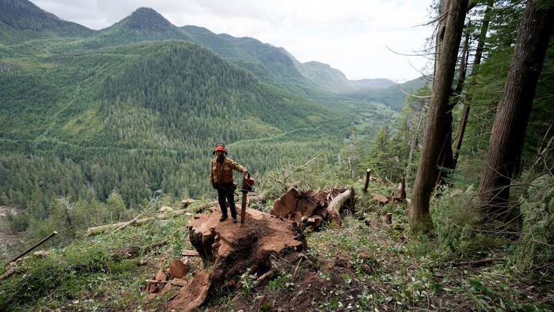 Faller Chris Hersics poses for a photo after taking down one of the biggest trees of his career. – Bild: Discovery Channel