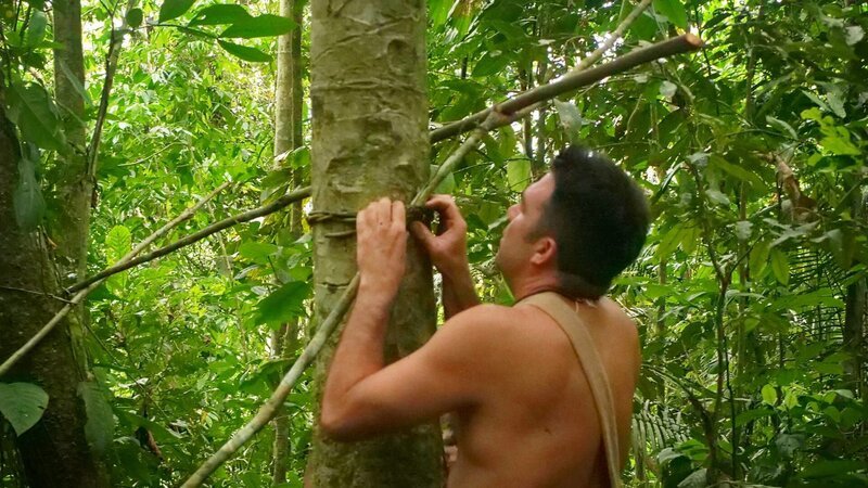 Fernando in the woods. – Bild: Warner Bros. Discovery