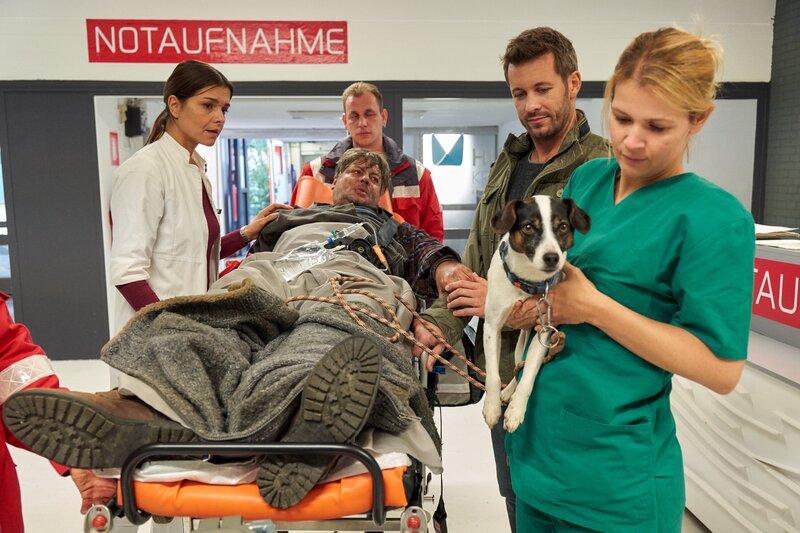 Laura Seifert (Susan Hoecke, l.) und Alex Rode (Jan Hartmann, 2.v.r.) nehmen sich dem verletzten Cocker (Rüdiger Klink, liegend) in der Notaufnahme an, während sich Schwester Annika (Tina Amon Amonsen) um dessen Hund Socke kümmert. – Bild: TVNOW /​ Frank Dicks