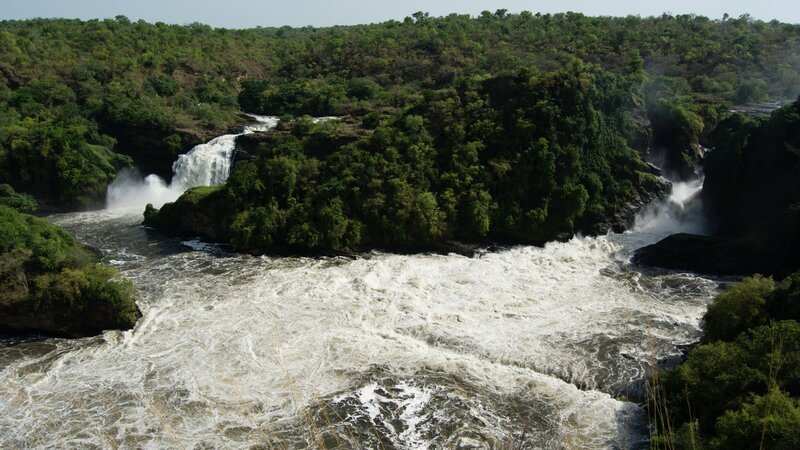 Über die Murchinson Falls in Uganda stürzt der Viktoria-Nil 42 Meter in die Tiefe. – Bild: ZDF und Aquavision TV Productions Pty Ltd