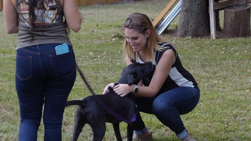 (JASKO ADOPTION) Adopter and dog at home check. – Bild: Discovery Communications