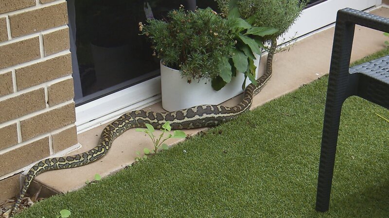 . – Bild: Warner Bros. Discovery