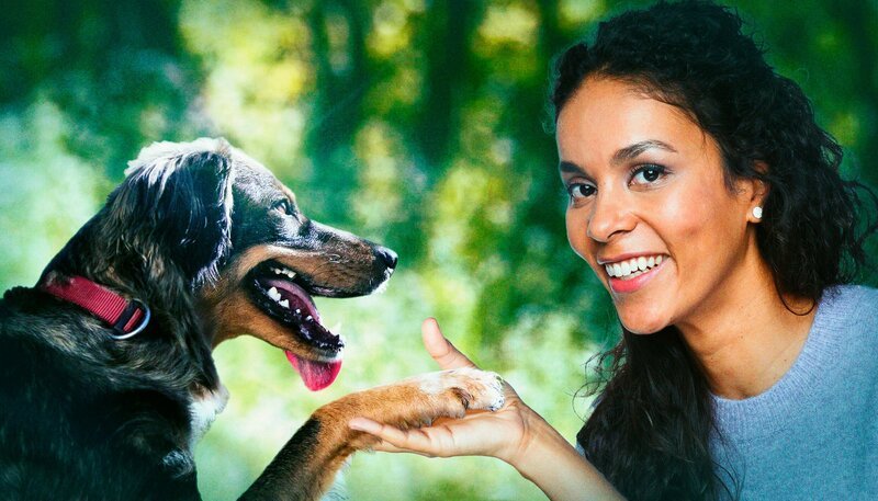 Vor etwa 23.000 Jahren wurde der Grundstein der einzigartigen Beziehung zwischen Hund und Mensch gelegt. Während der großen Eiszeit in Sibirien näherten sich Wolf und Mensch einander an – davon geht die neueste Forschung aus. Nach und nach entwickelte sich aus dem wilden Wolf ein verlässlicher Begleiter des Menschen.  Quarks wirft einen Blick auf diese enge Verbindung zwischen Mensch und Hund. Denn noch immer geben uns die Fähigkeiten von Hunden Rätsel auf. – – Bild: WDR/​Tilman Schenk/​picture alliance/​Westend61