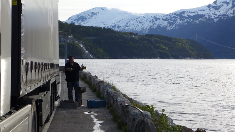 Maike, a new trucker, is getting ready for her first tour. Meanwhile, Dieter enjoys his evening off in Mallorca with female singer Melanie Müller. – Bild: Discovery Communications