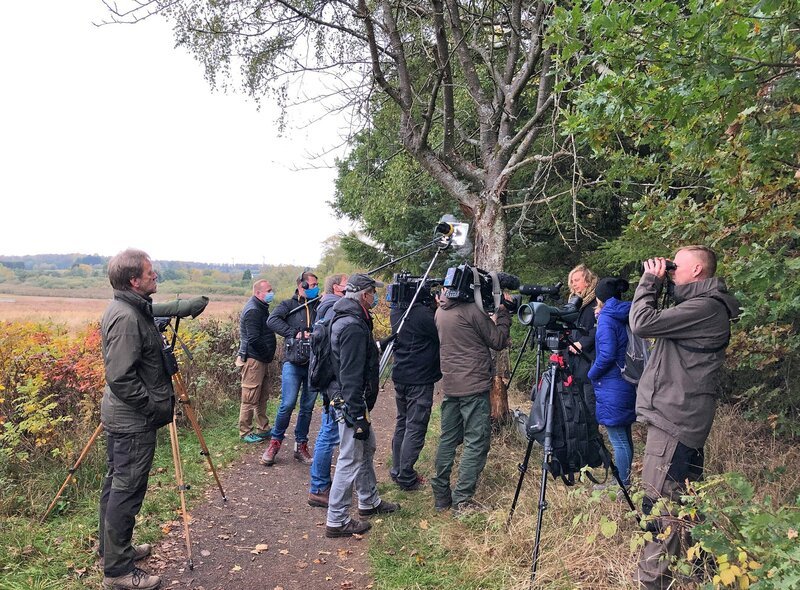 Dreharbeiten beim Birdwatching. – Bild: SWR/​Heidrun Wieser