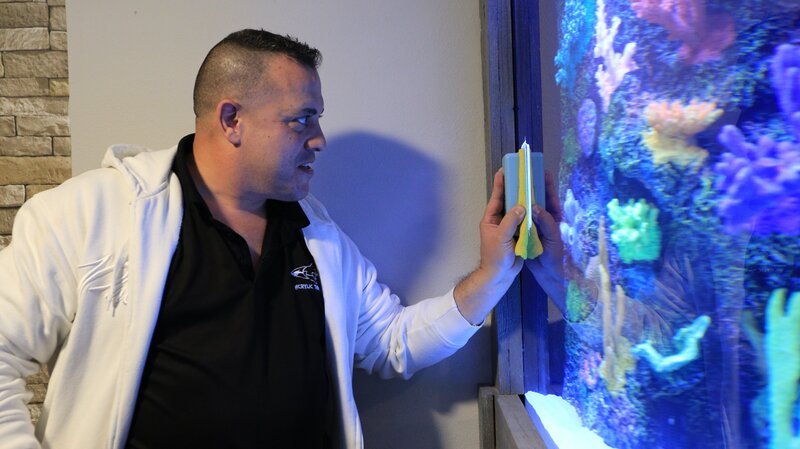 Wayde makes sure the tank is spotless for the big reveal to the Hoover family. – Bild: Discovery Communications