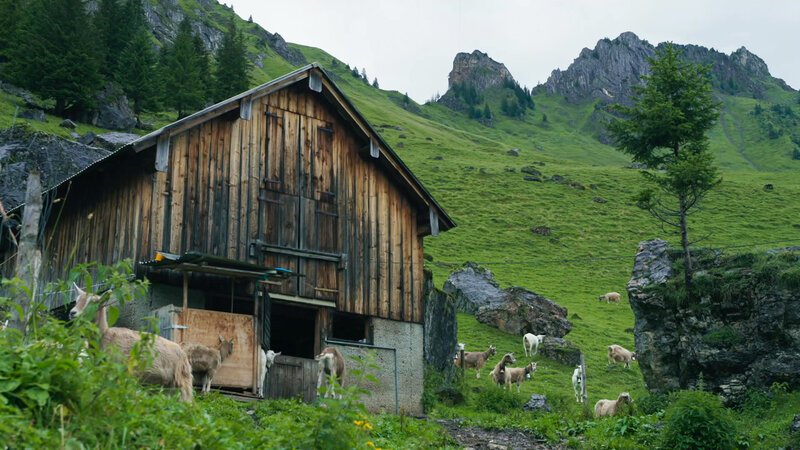 Bild: Bergblick Bild: Bergblick