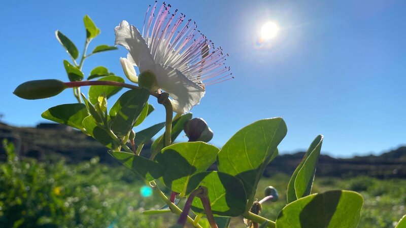 Bild: Bergblick Bild: Bergblick