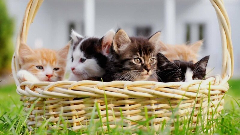 Bild: Comedy Central