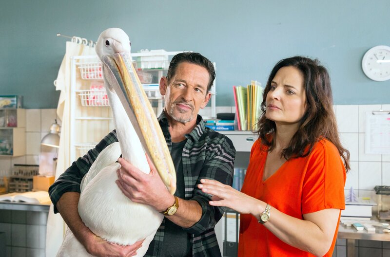 Tierarzt Dr. Ginsberg (Max Tidof, l.) hat Susanne Mertens (Elisabeth Lanz, r.) während ihres Krankenhausaufenthaltes vertreten. Sie machen sich Sorgen um Pelikan Tony. – Bild: ARD/​Steffen Junghans