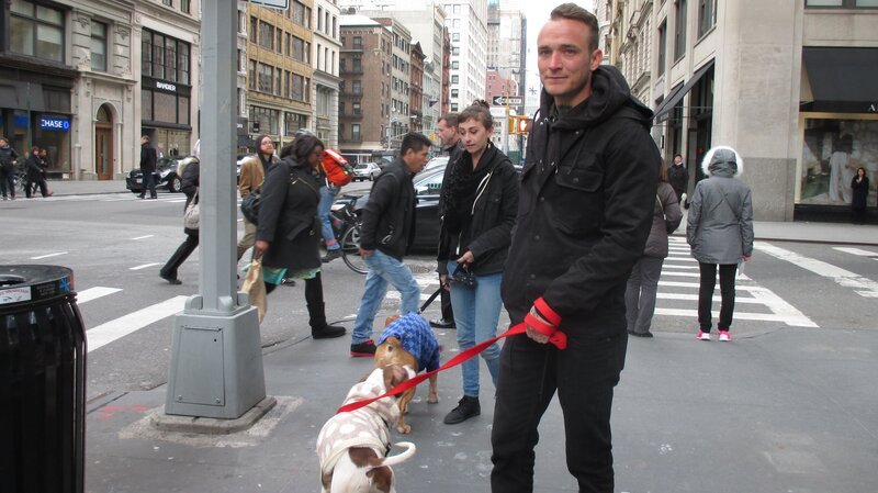 Mariah and Marcel with Tater and Vlad in NYC. – Bild: Discovery Communications, Inc.