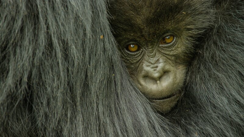 Bild: The National Geographic Channel.