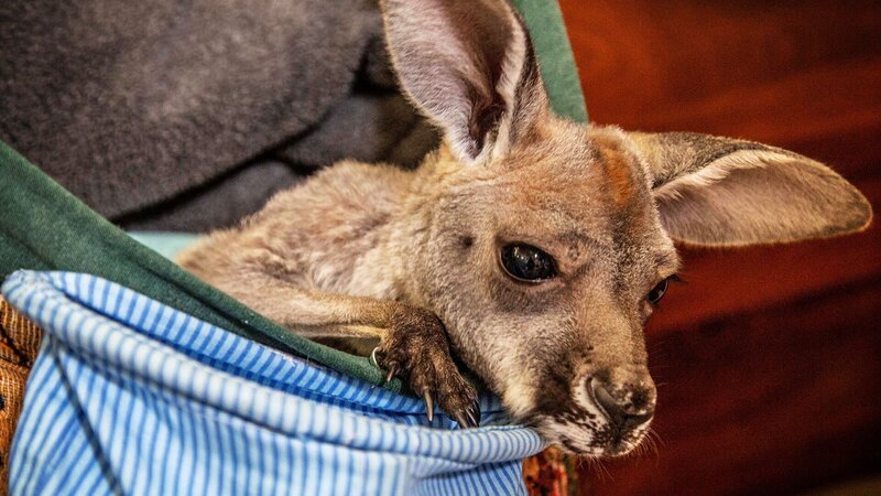 . – Bild: Warner Bros. Discovery