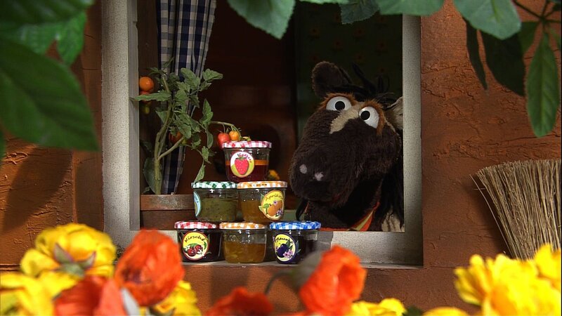 Pferd sollte auf die frisch gemachte Marmelade aufpassen. Aus Versehen fallen ihm alle Gläser von der Fensterbank und gehen kaputt. Pferd will sein Missgeschick nicht zugeben und erzählt Wolle in seiner Not eine Lüge. – Bild: NDR/​Sesame Workshop