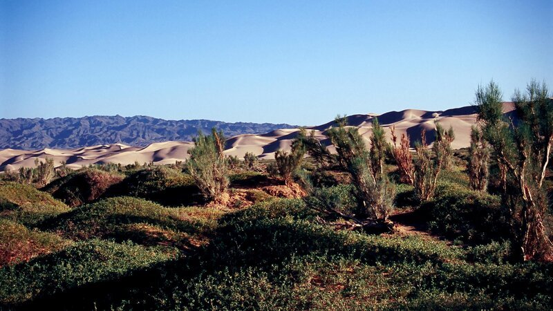 Dünen vor Altaigebirge. – Bild: ORF/​Heinz Leger