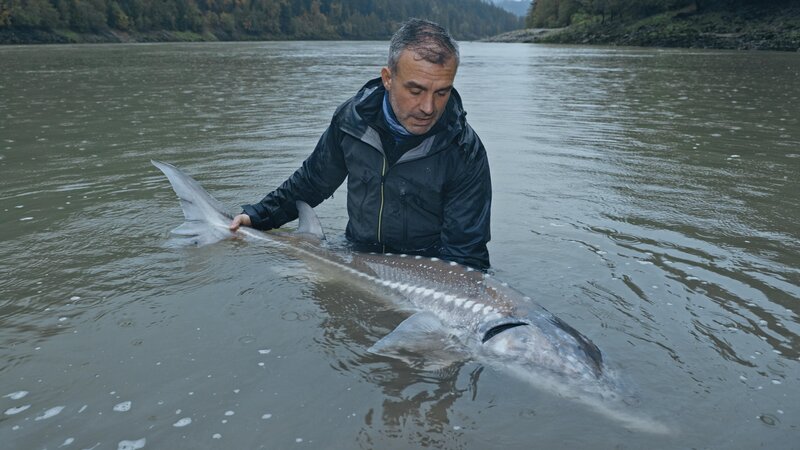 Bild: Licensed by Fremantle Media Enterprises Ltd. Lizenzbild frei