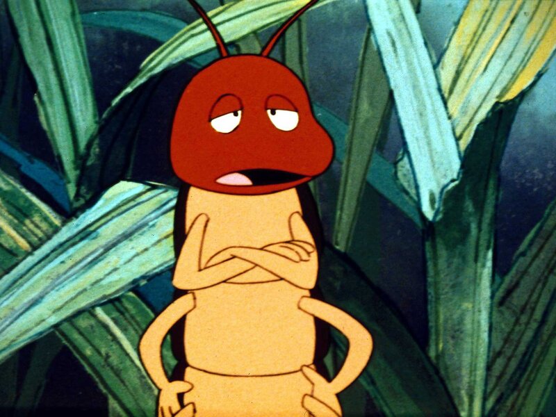 Der Tausendfüßler hat es immer gewußt, mit kleinen Bienen sollte man nicht über erkältete Beine reden, es kommt nur Unsinn dabei heraus. – Bild: ORF