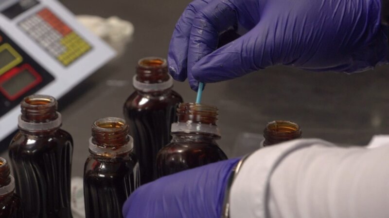 Bild: National Geographic Partners, LLC