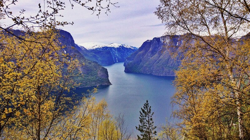 Norwegens Fjorde – bis zu 200 Kilometer ziehen sie sich von der Atlantikküste bis ins Binnenland hinein. Weitere Fotos auf Anfrage. – Bild: NDR/​nautilusfilm