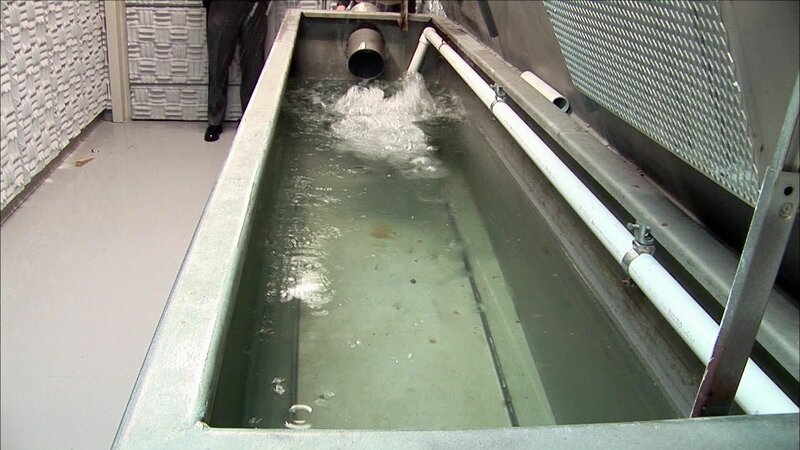 +++ – Bild: RTL Crime