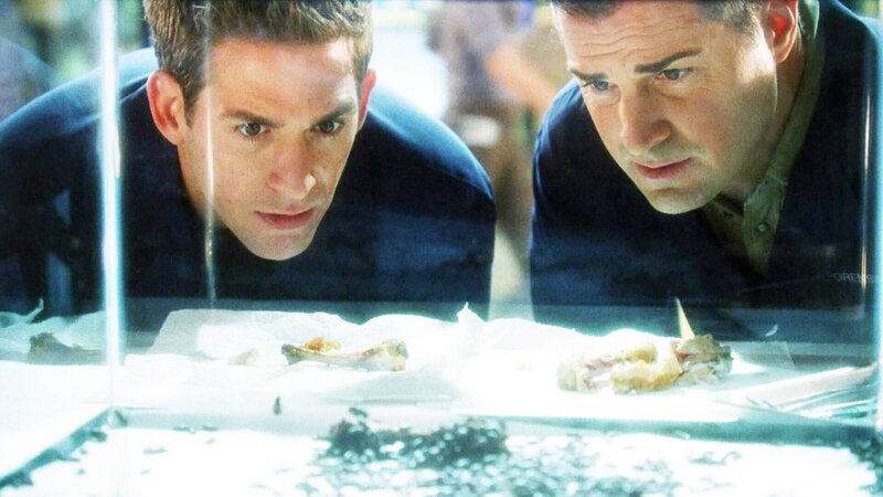 Bild: RTL Deutschland