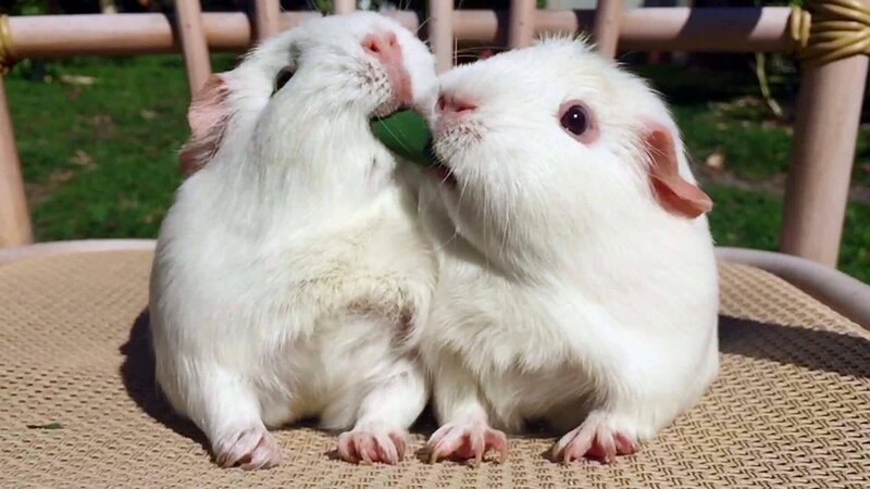 Bild: Comedy Central