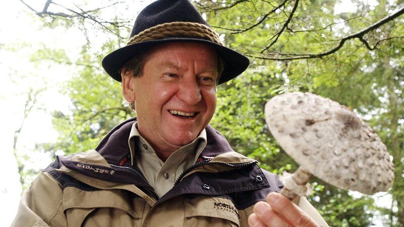 . – Bild: ANIXE HD