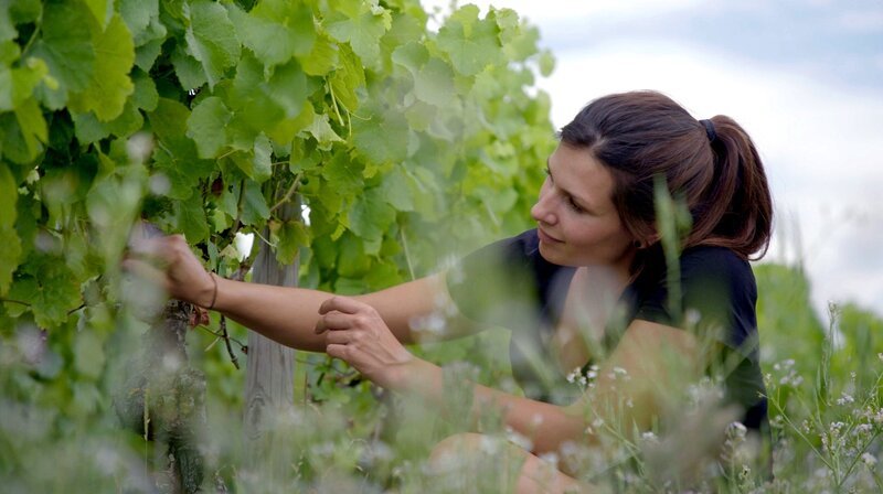 Laura Seufert ist mit 29 Jahren verantwortlich für das Weingut der Familie. – Bild: BR/​isarflimmern fernsehproduktion GmbH/​cutflow GmbH/​Tanja von Ungern-Sternberg