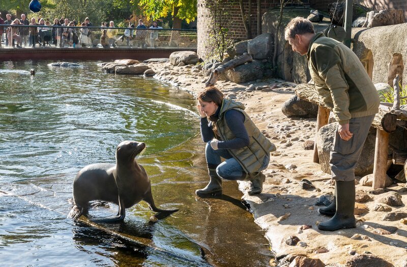 Die freie Tierärztin Dr. Susanne Mertens (Elisabeth Lanz, l.) und Cheftierpfleger Conny Weidner (Thorsten Wolf, r.) wollen die Seelöwin Jenny untersuchen, aber sie macht es den beiden nicht so leicht. – Bild: ARD/​Saxonia Media
