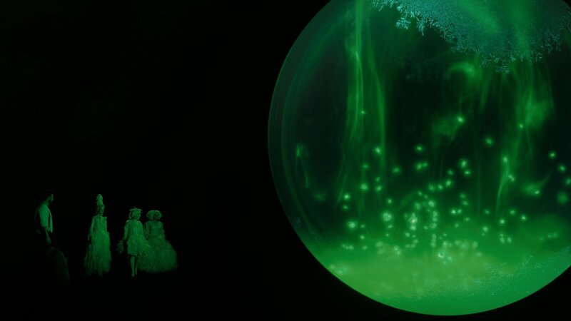 Beutolomäus und Sascha (Simon Böer) beweisen den Elfen (Ramona Krönke, Anna Fischer, Annette Strasse), dass das Herz der Weihnacht vergiftet ist. – Bild: KiKA/​WunderWerk