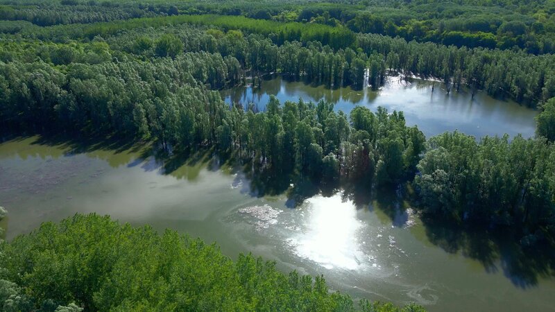 Europas Amazonien: Jedes Jahr im Frühling überflutet die Donau große Flächen und verwandelt sie für etwa drei Monate in Sumpf- und Feuchtgebiete. – Bild: Szabolcs Mosonyi