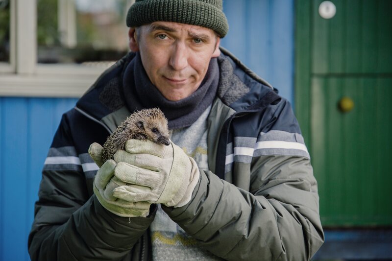 Der kleine Igel braucht dringend Hilfe, um den Winter zu überleben. Fritz (Guido Hammesfahr) kümmert sich um ihn. – Bild: ZDF und Andrea Hansen Fotografie