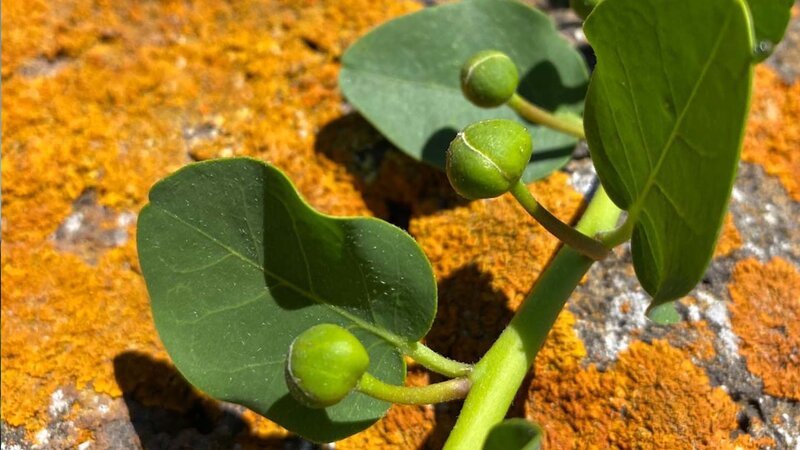 Bild: Bergblick Bild: Bergblick