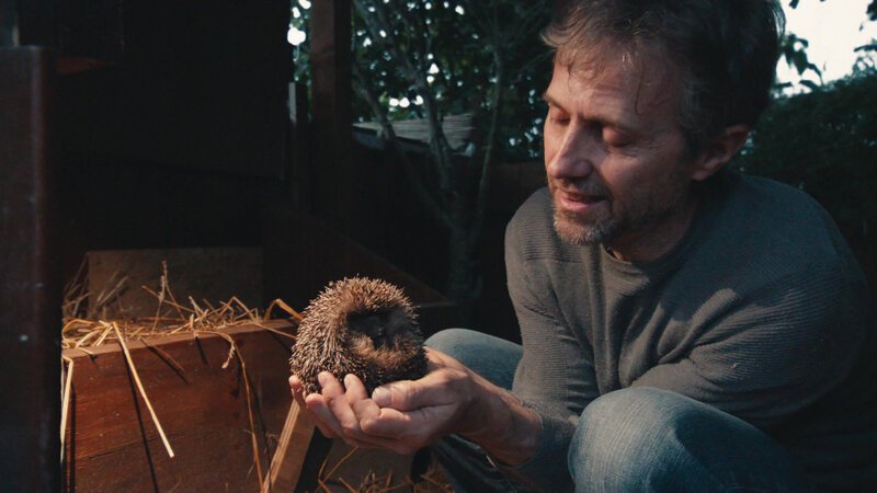 Bild: Bergblick Bild: Bergblick