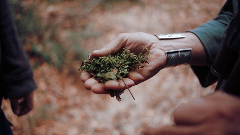 Bild: ProSieben Schweiz Bild: ProSieben Schweiz