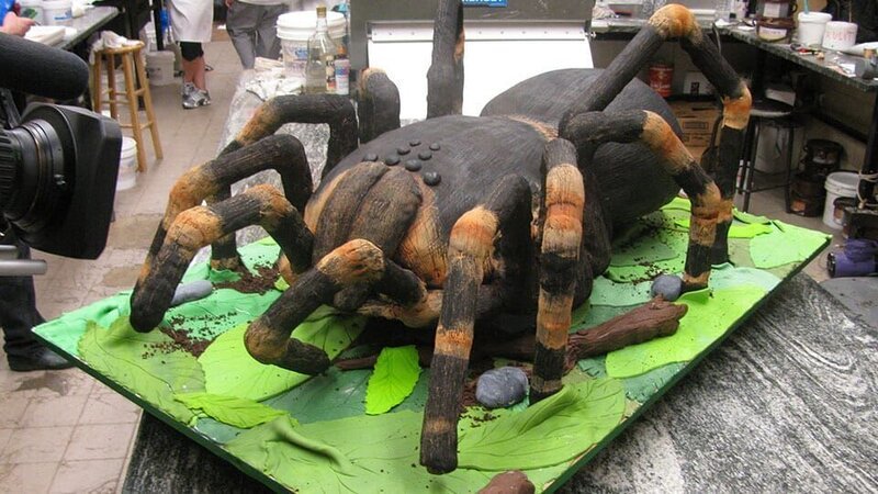 Spider phone in Bakery. – Bild: Carlin Cwik /​ TLC /​ Discovery Communications Inc.