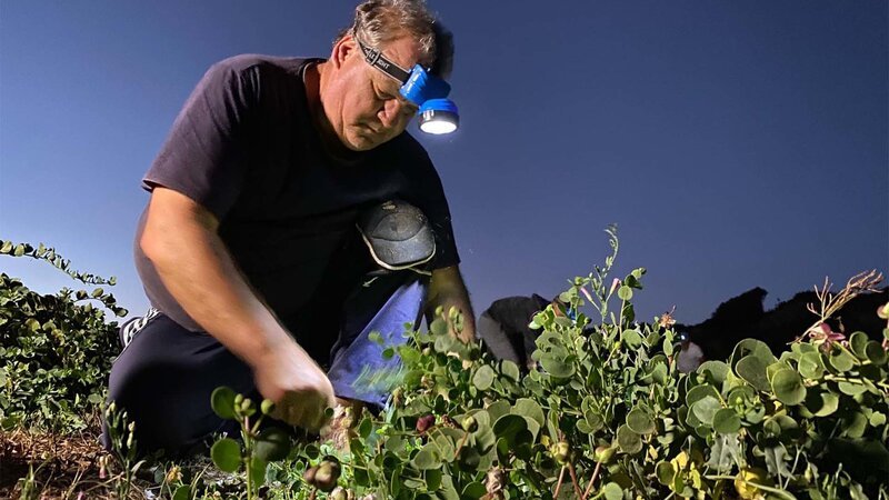 Bild: Bergblick Bild: Bergblick