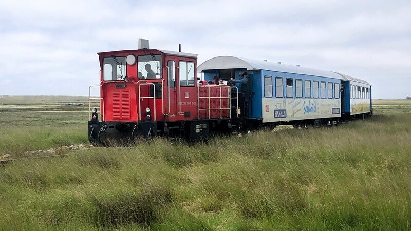 Die einzige Schmalspurbahn der Deutschen Bahn AG auf ihrem Weg durch die Salzwiesen. – Bild: ZDF und SWR /​ Alexander Schweitzer