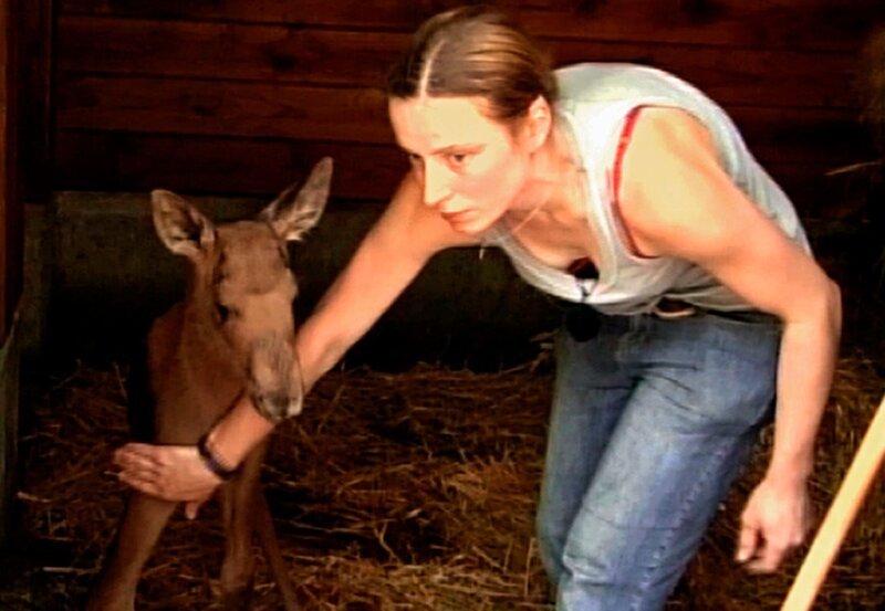 Zoo-Pflegerin Ariane Dankert und das frisch geborene Elch-Mädchen. – Bild: HR