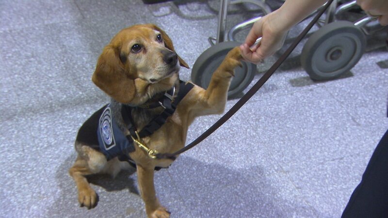 Bild: Licensed by Cineflix International