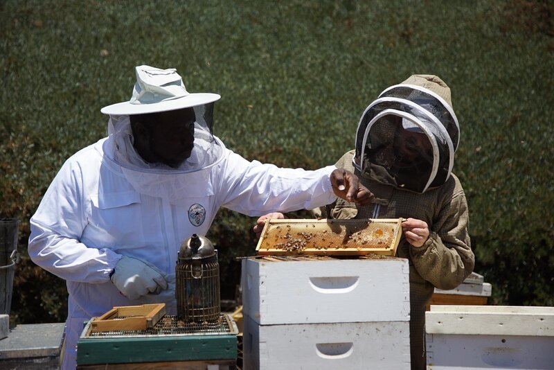 Bild: 2023 A&E Television Networks, LLC. All Rights Reserved. Lizenzbild frei