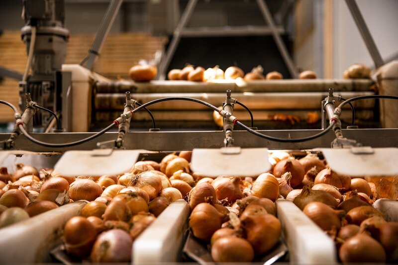 Die Zwiebelsortieranlage. – Bild: BR/​megaherz gmbh/​Moritz Sonntag