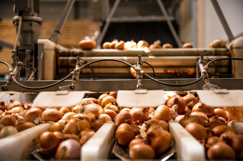 Die Zwiebelsortieranlage. – Bild: BR/​megaherz gmbh/​Moritz Sonntag